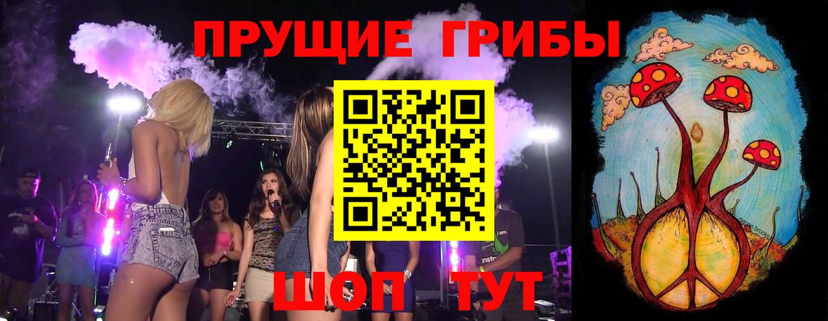 Галлюциногенные грибы Psilocybe  где купить наркотик  Галлюциногенные грибы мицелий  Сертолово  Вход с VPN 